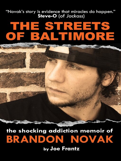 Cover image for The Streets of Baltimore